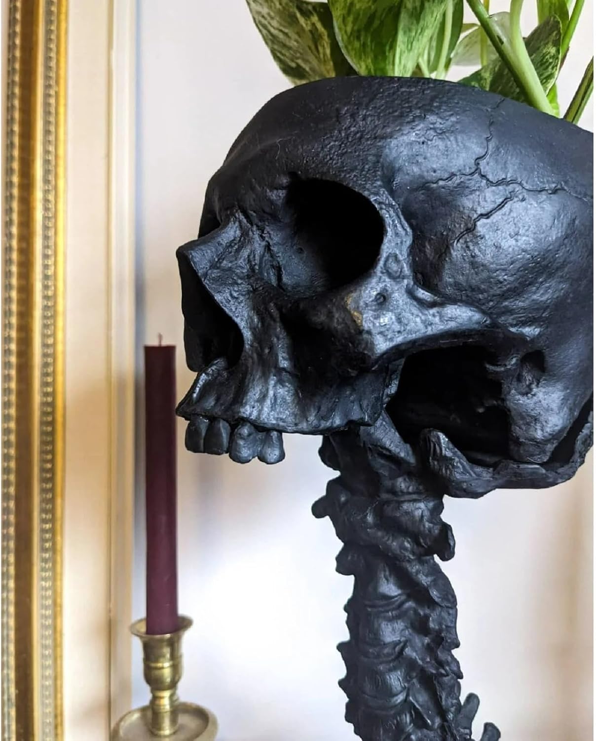 Skull Planter with Spine Stand