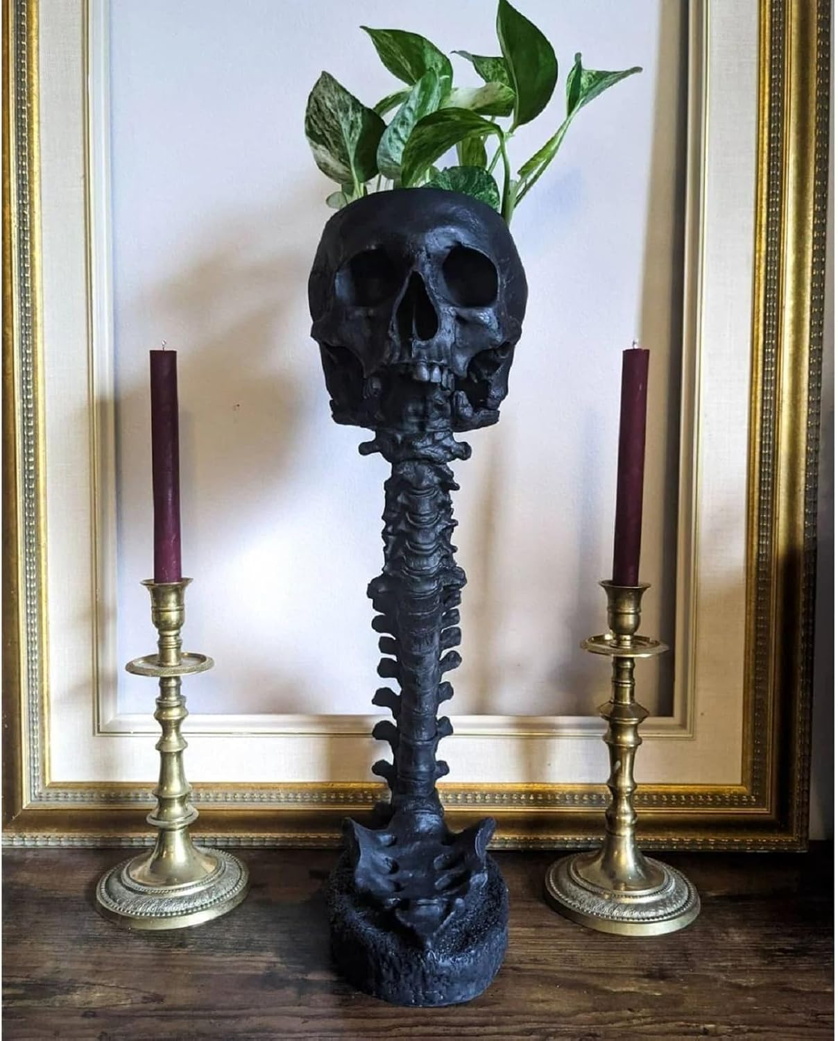 Skull Planter with Spine Stand