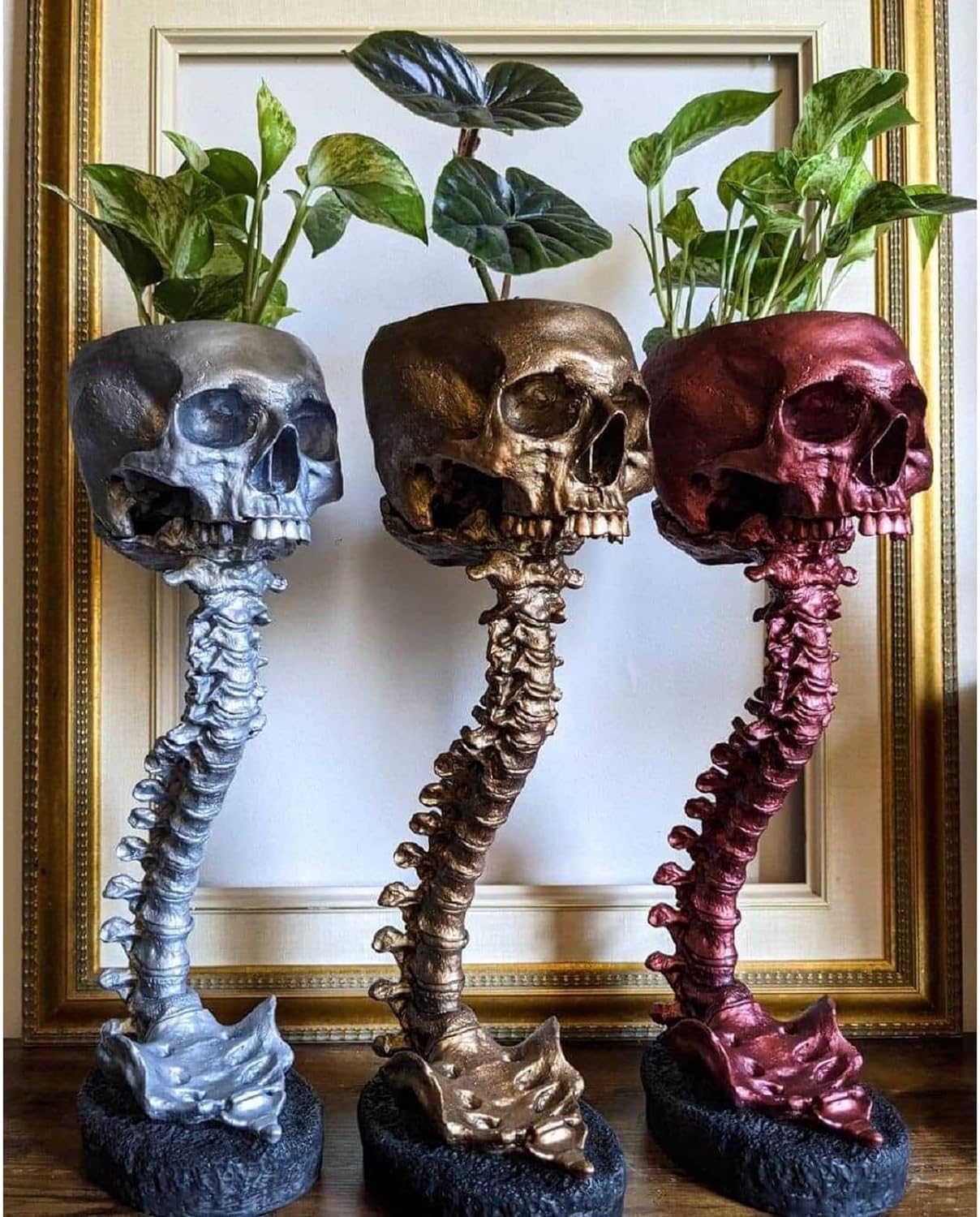 Skull Planter with Spine Stand