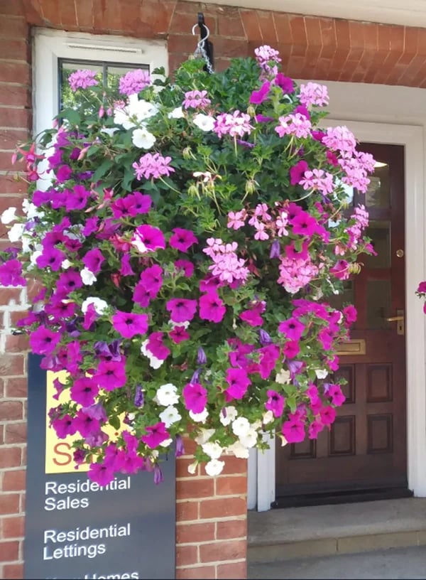 ✨This Week's Special Sale 70% Off - Simulation Artificial flower