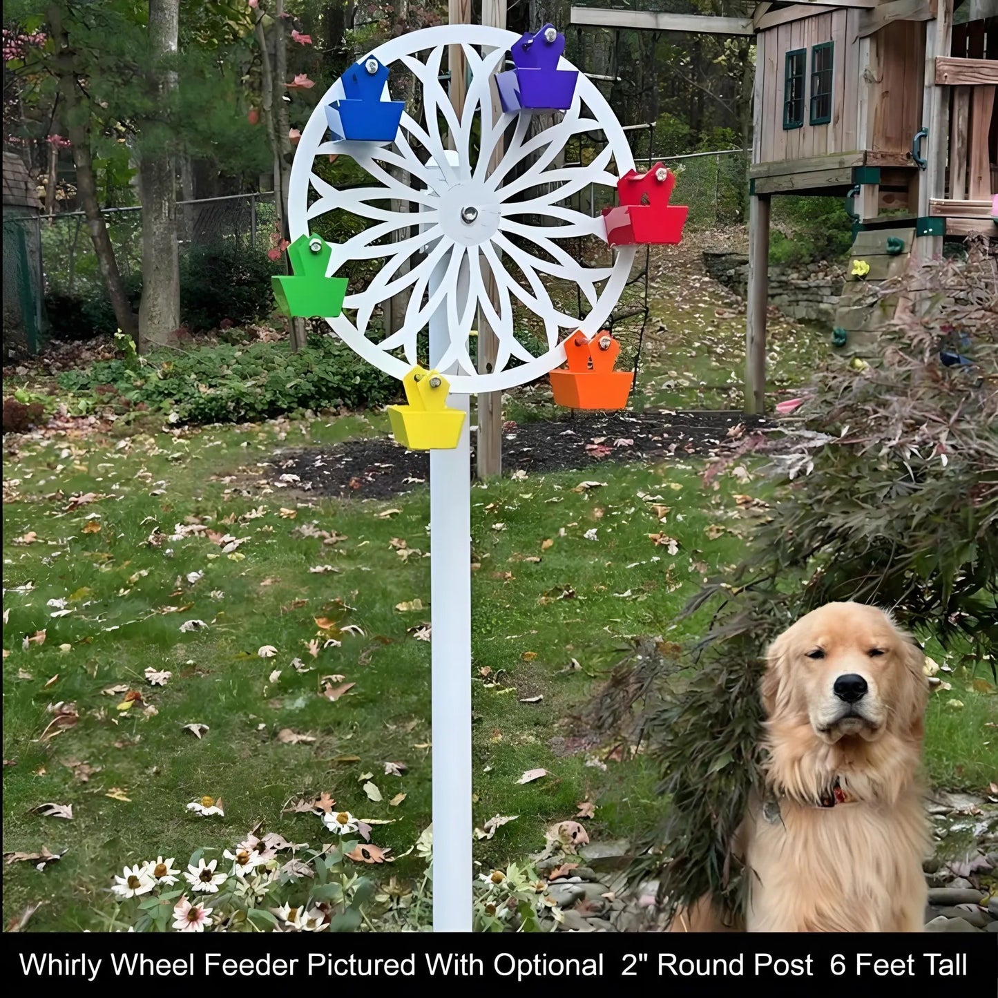 The Ferris Wheel of Fun for Your Feathered Friends
