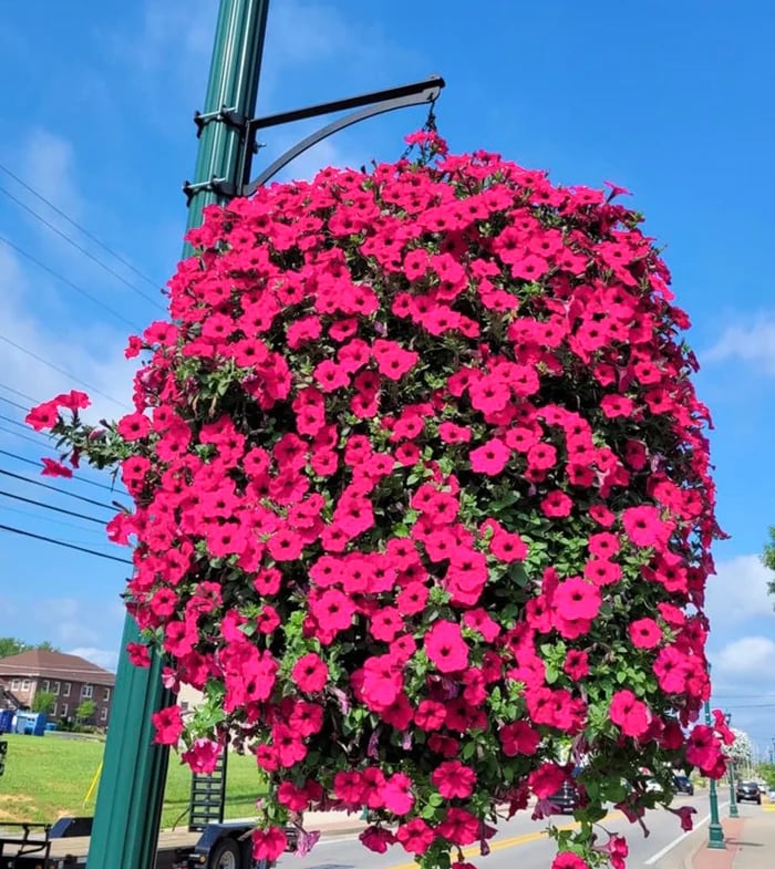 ✨This Week's Special Sale 70% Off - Simulation Artificial flower