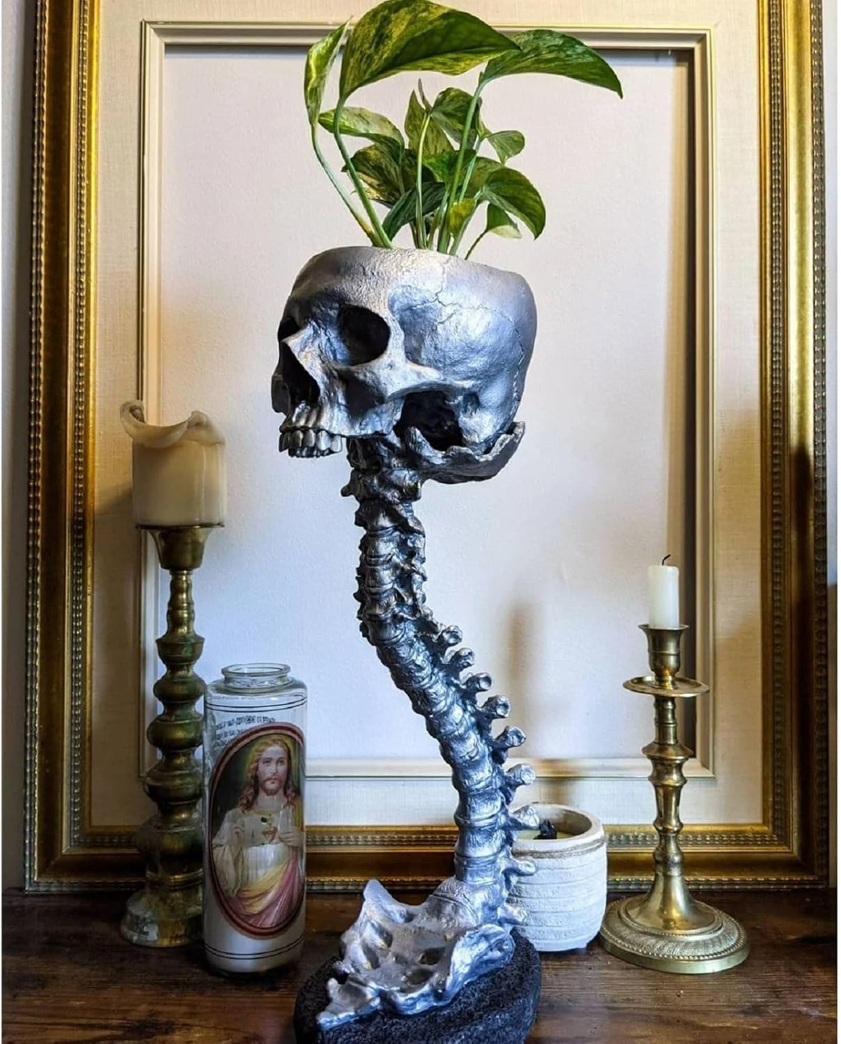 Skull Planter with Spine Stand