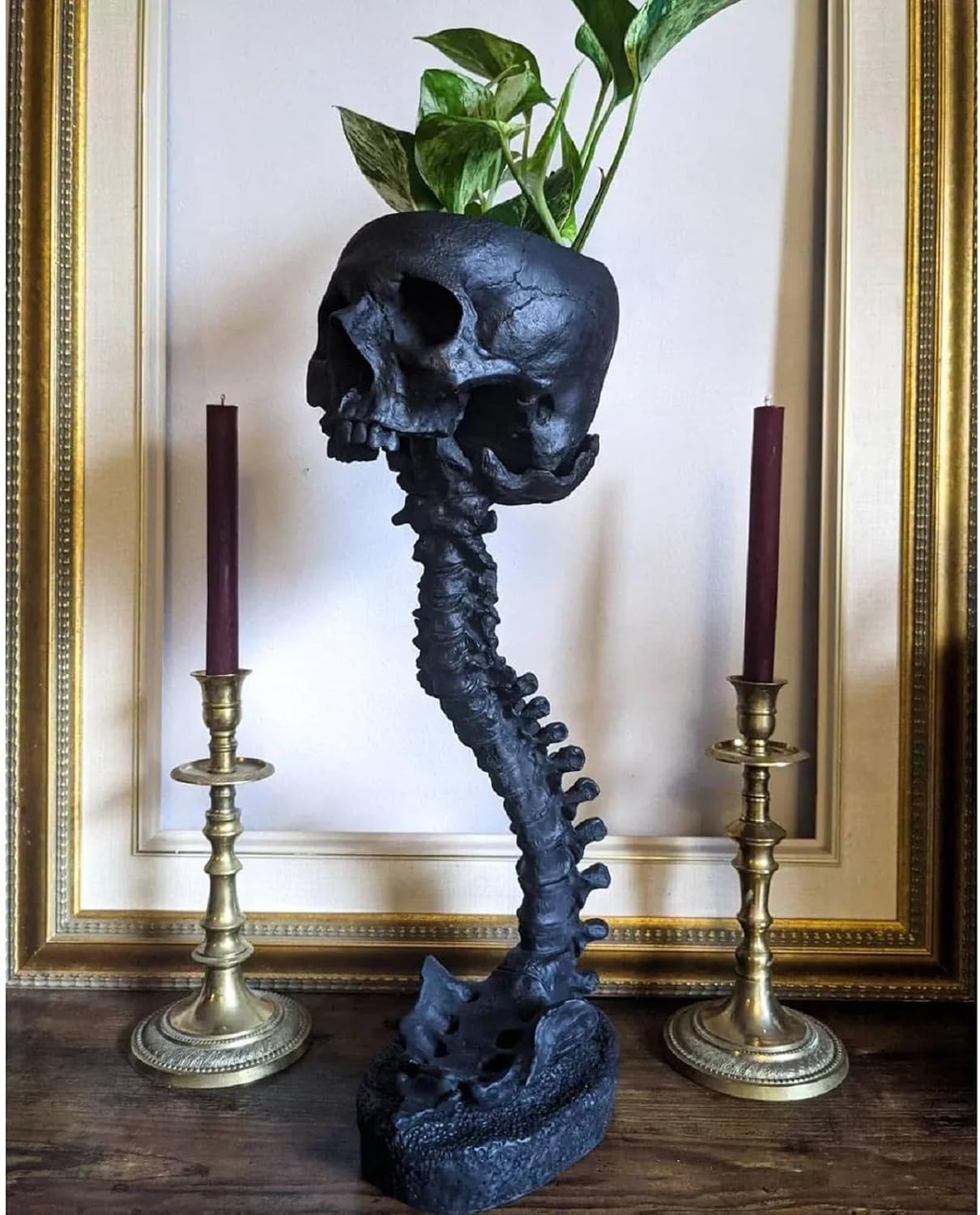 Skull Planter with Spine Stand