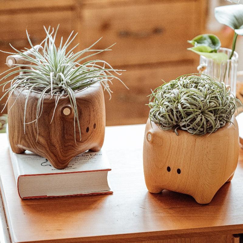 Multi Function Storage | Desktop Organization, Remote Control Holder, Pen Holder, Key Storage, Plant Pot Decoration Gift