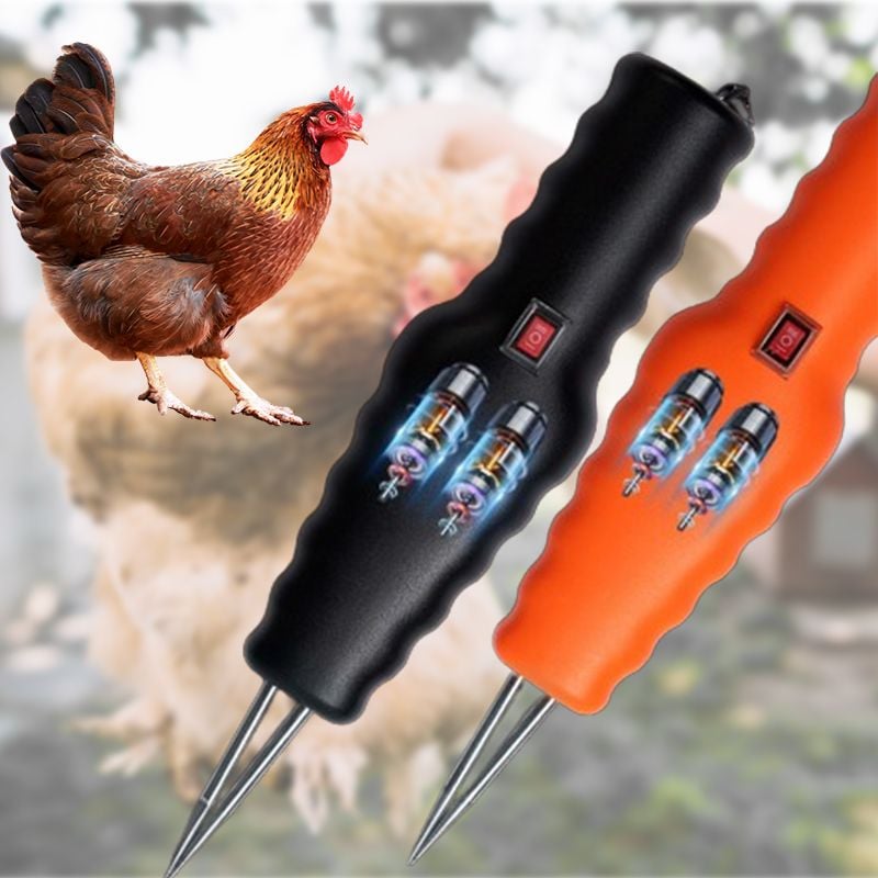 🎁Electric Quick Chicken Plucker(Make things easy.)