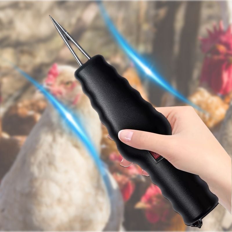 🎁Electric Quick Chicken Plucker(Make things easy.)