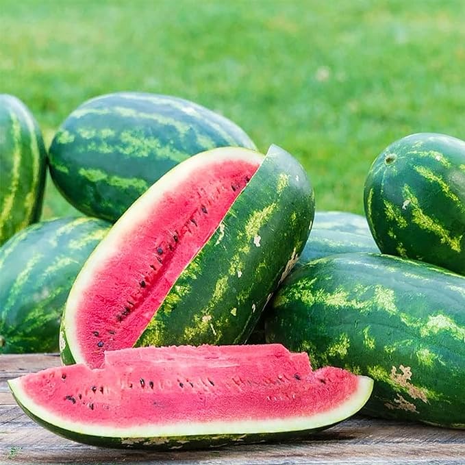 🔥🍉Oversized-Watermelon Seeds  - 98% Germination