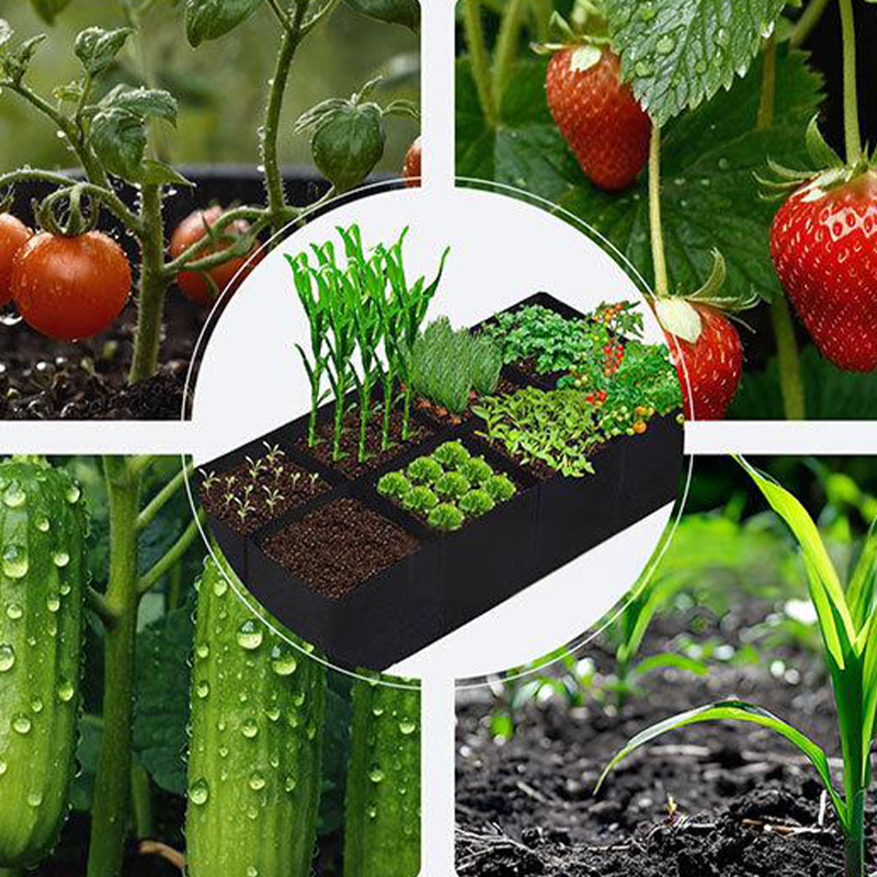 ⏳Limited-time 50% off⏰Divided Fabric Grow Bags for Plants🌱