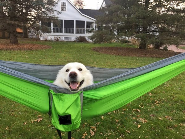 🌞 Summer Sale ✨ Camping Hammock with Straps Bundle