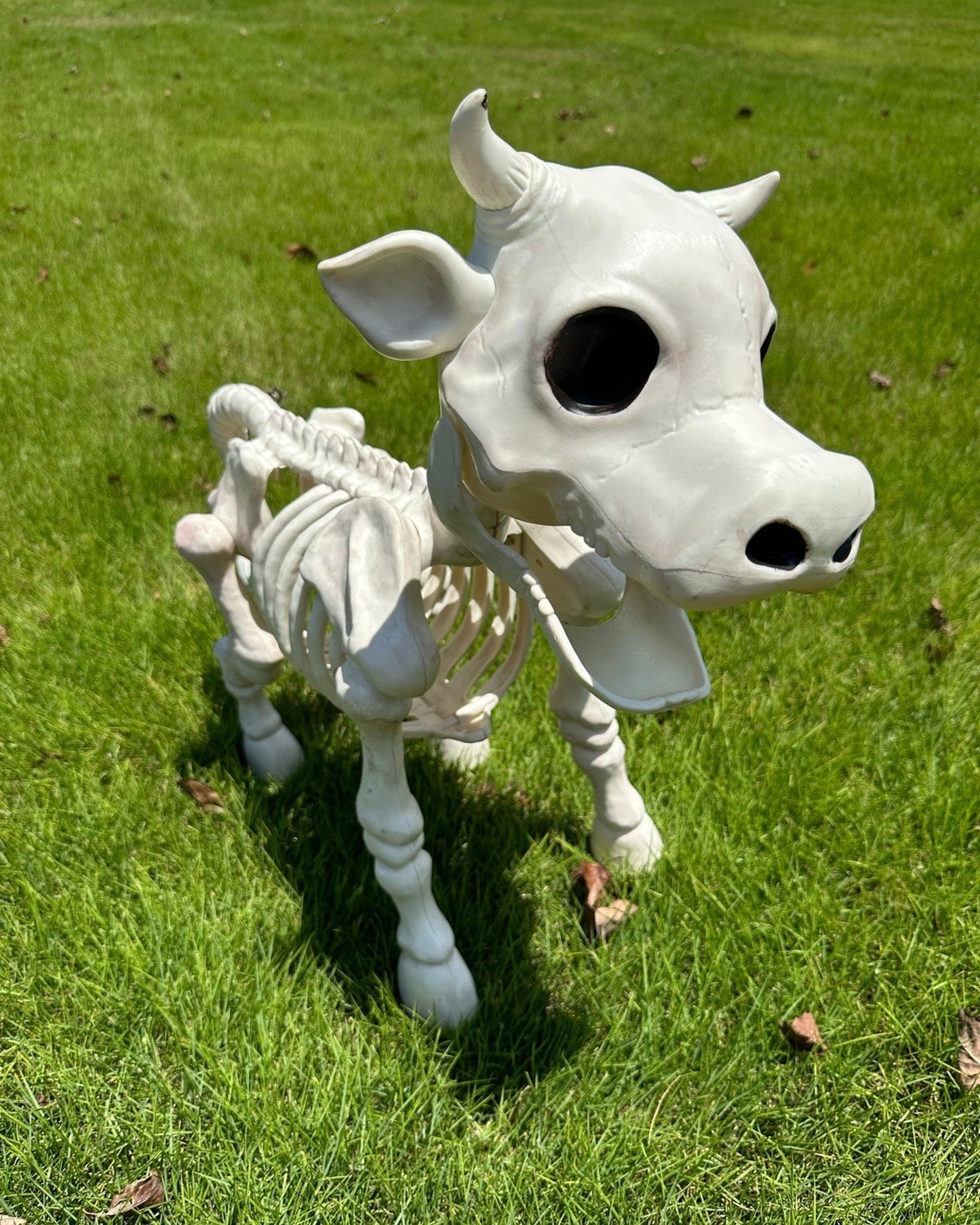 Cow & Horse Skeleton Halloween Decorative Prop