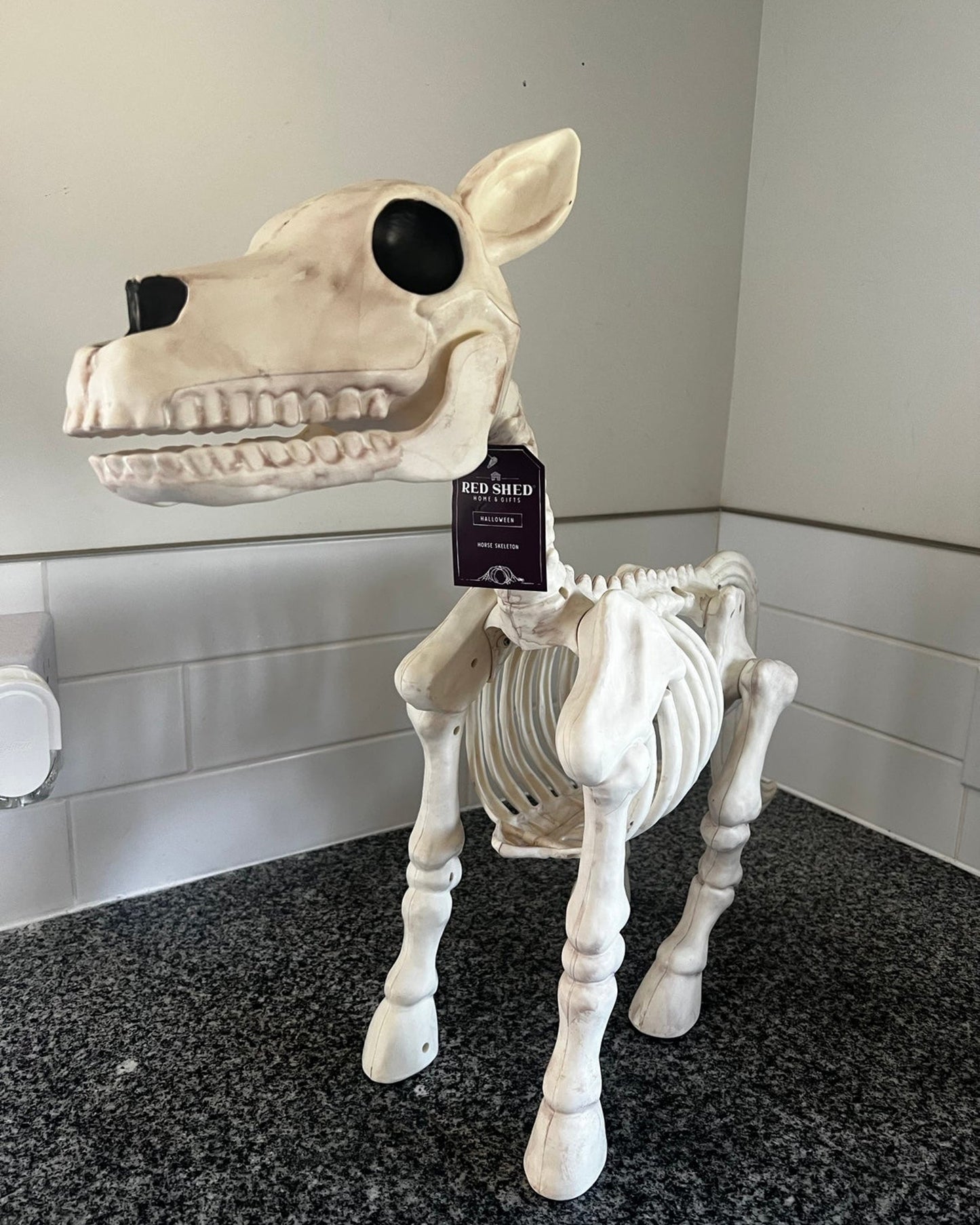 Cow & Horse Skeleton Halloween Decorative Prop