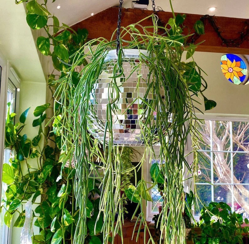 Disco Ball Hanging Planter