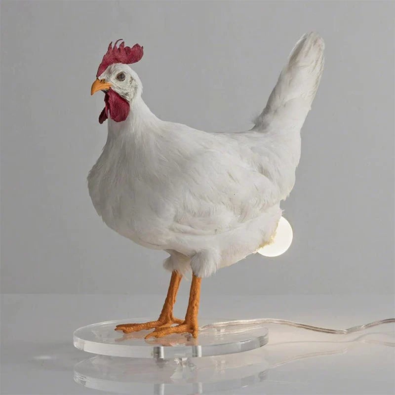 Chicken Egg Lamp