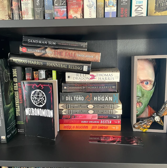 🔥Peeping On The Bookshelf Booknook