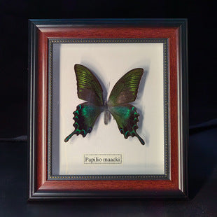 Butterfly crafts teaching collection decorations swallowtail butterfly three-dimensional ornaments