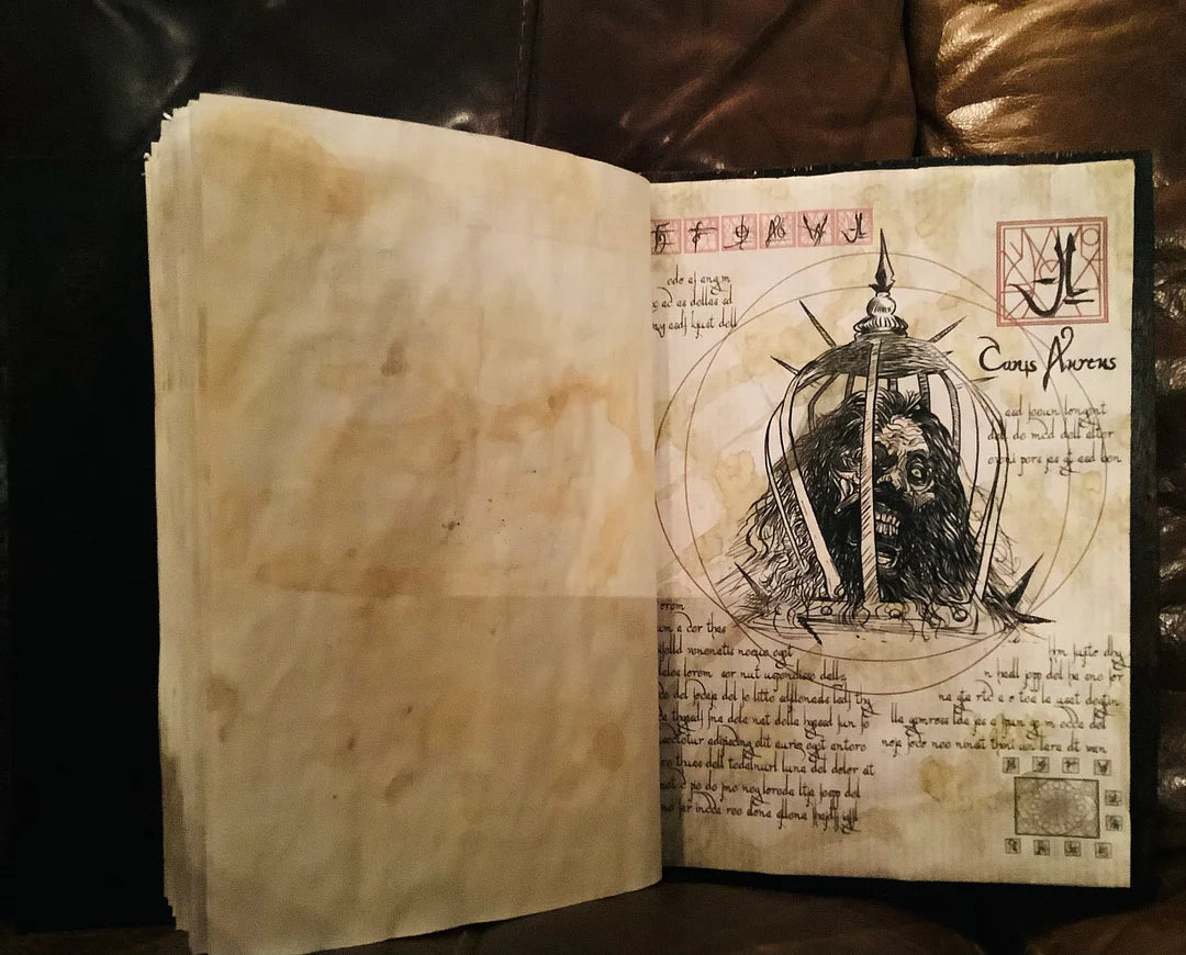 Unique 13 Ghost Black Zodiac Book