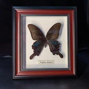 Butterfly crafts teaching collection decorations swallowtail butterfly three-dimensional ornaments